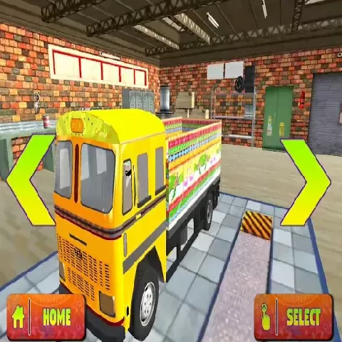 Real Indian Truck Cargo Truck Transport
